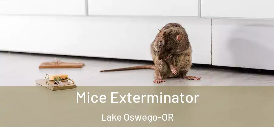 Mice Exterminator Lake Oswego-OR