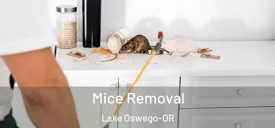 Mice Removal Lake Oswego-OR
