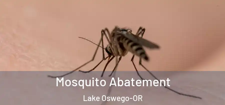 Mosquito Abatement Lake Oswego-OR