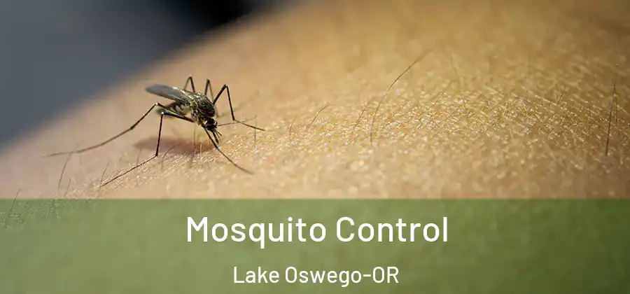 Mosquito Control Lake Oswego-OR