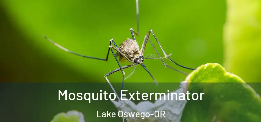 Mosquito Exterminator Lake Oswego-OR