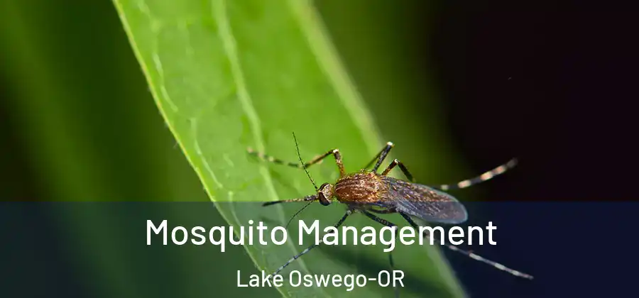 Mosquito Management Lake Oswego-OR