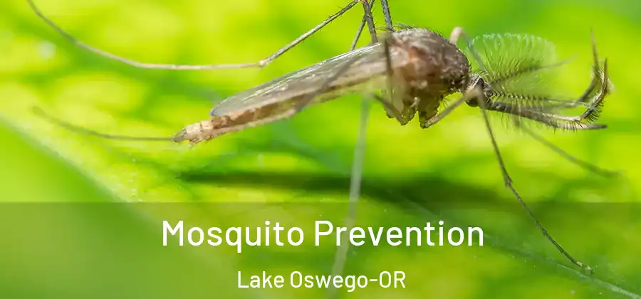  Mosquito Prevention Lake Oswego-OR