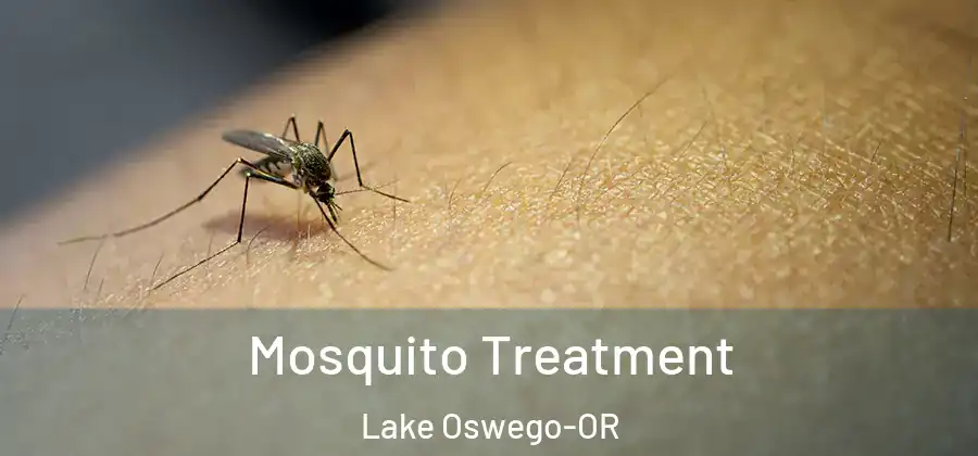 Mosquito Treatment Lake Oswego-OR
