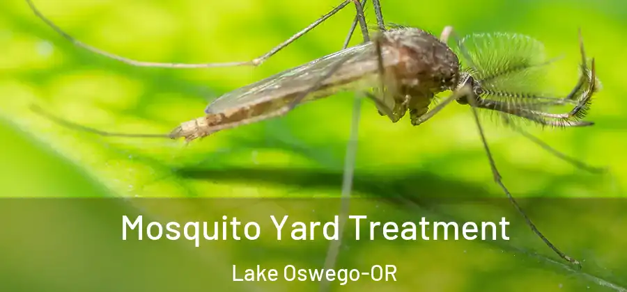 Mosquito Yard Treatment Lake Oswego-OR
