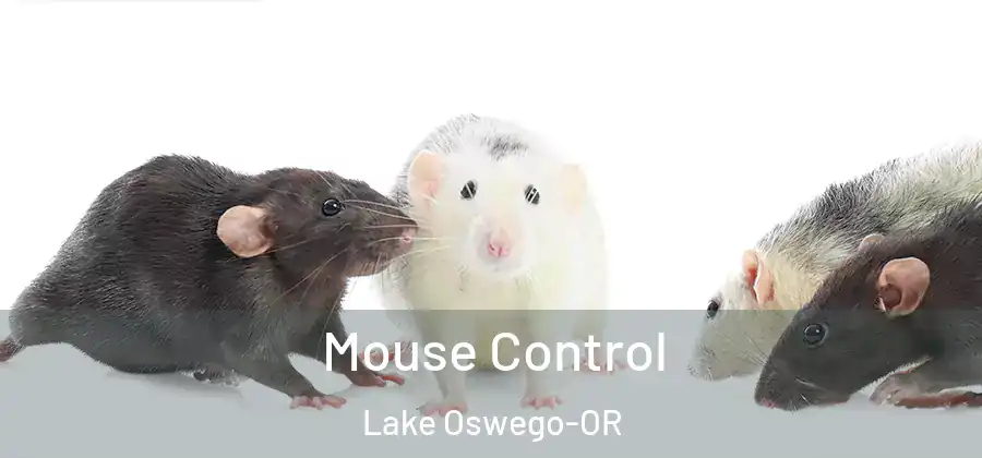 Mouse Control Lake Oswego-OR