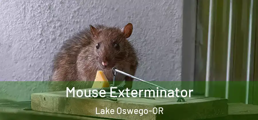 Mouse Exterminator Lake Oswego-OR