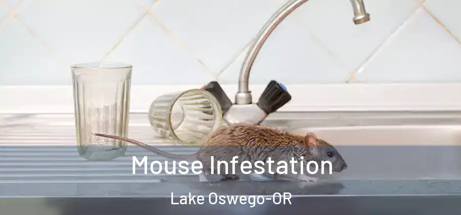 Mouse Infestation Lake Oswego-OR