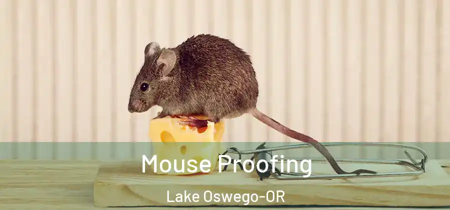 Mouse Proofing Lake Oswego-OR
