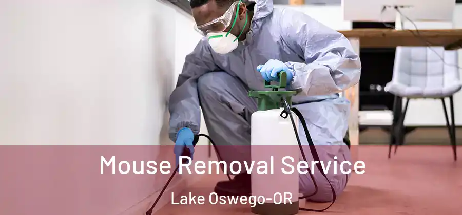  Mouse Removal Service Lake Oswego-OR
