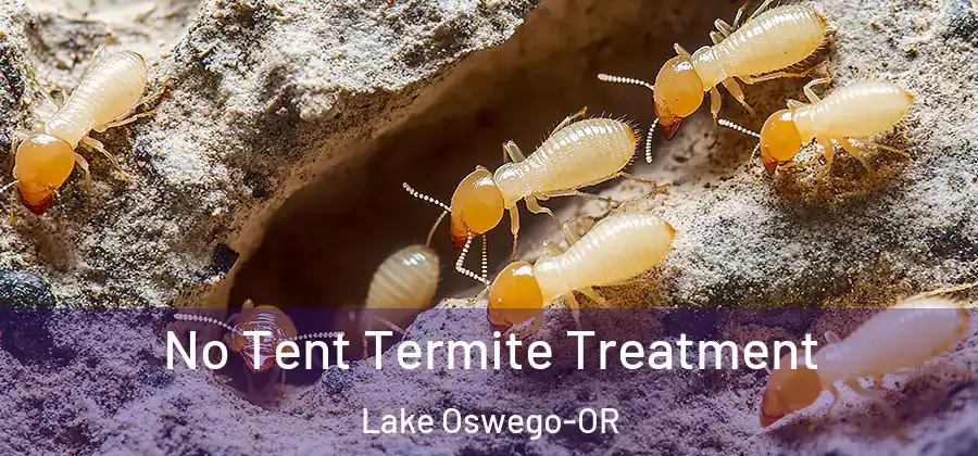 No Tent Termite Treatment Lake Oswego-OR