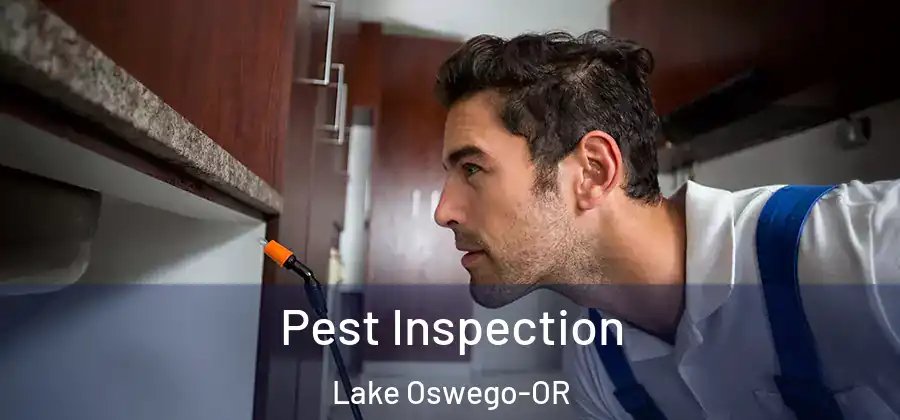 Pest Inspection Lake Oswego-OR
