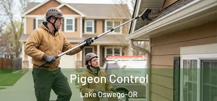 Pigeon Control Lake Oswego-OR