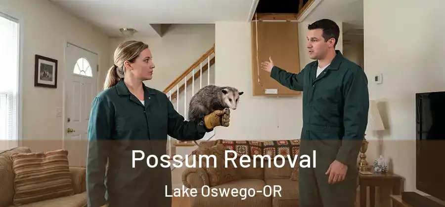 Possum Removal Lake Oswego-OR