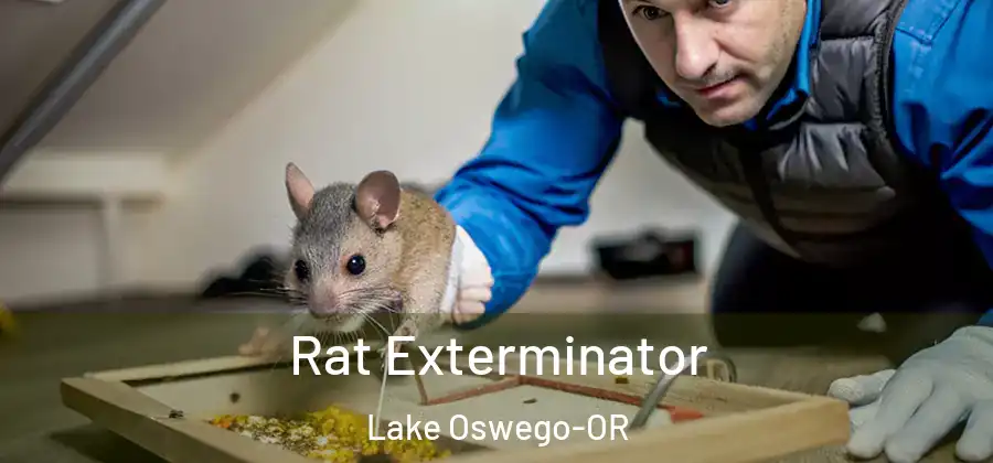 Rat Exterminator Lake Oswego-OR