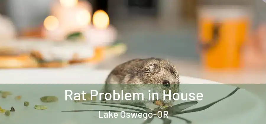 Rat Problem in House Lake Oswego-OR