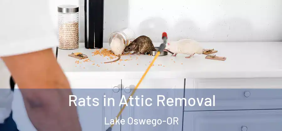 Rats in Attic Removal Lake Oswego-OR