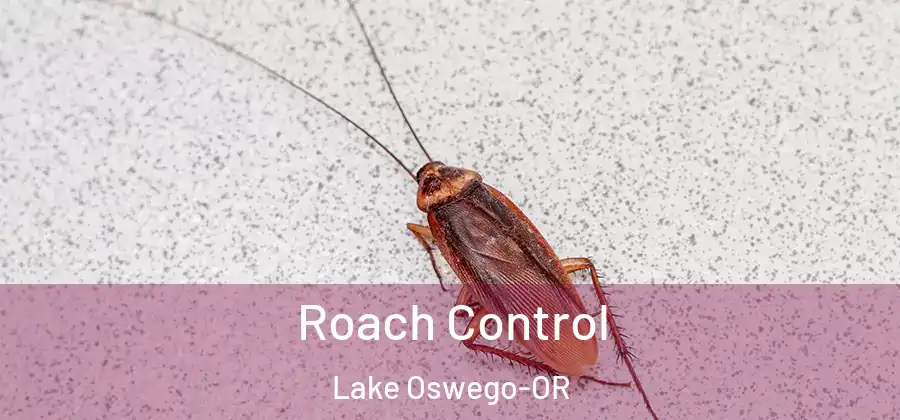 Roach Control Lake Oswego-OR