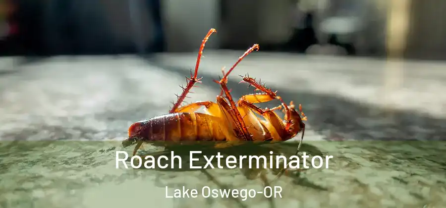 Roach Exterminator Lake Oswego-OR