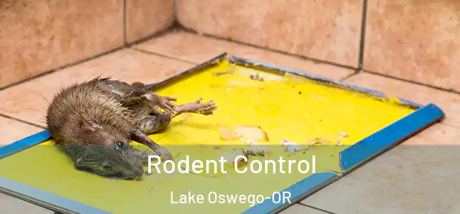  Rodent Control Lake Oswego-OR