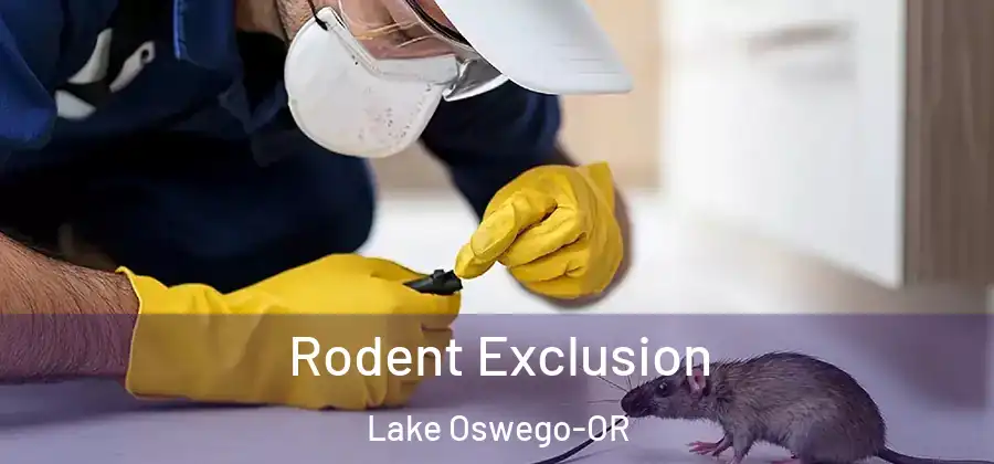 Rodent Exclusion Lake Oswego-OR