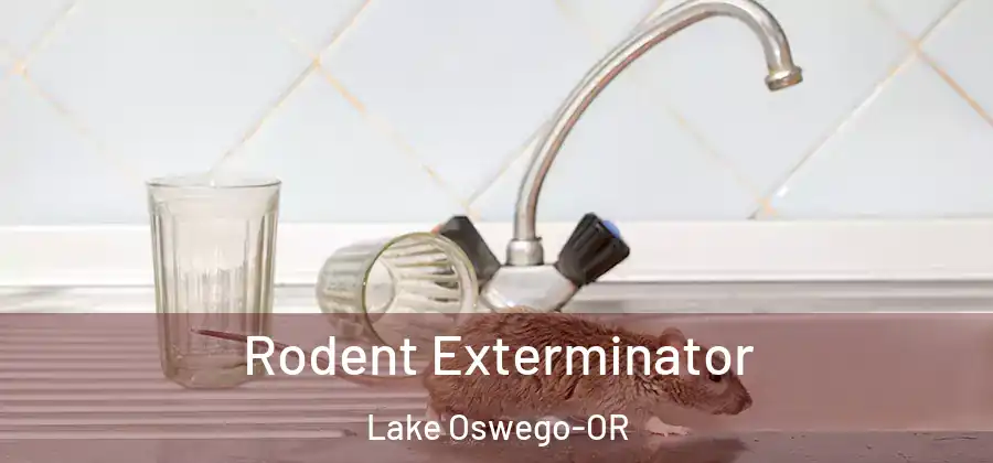 Rodent Exterminator Lake Oswego-OR