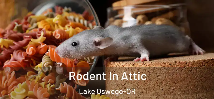  Rodent In Attic Lake Oswego-OR