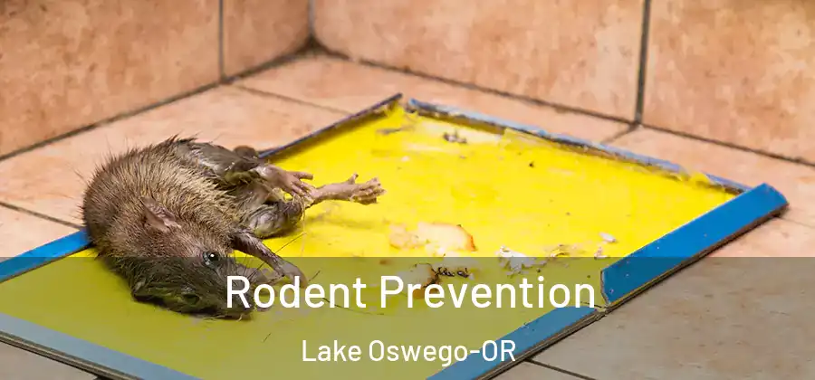 Rodent Prevention Lake Oswego-OR