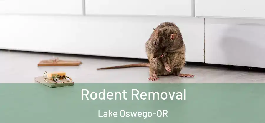 Rodent Removal Lake Oswego-OR