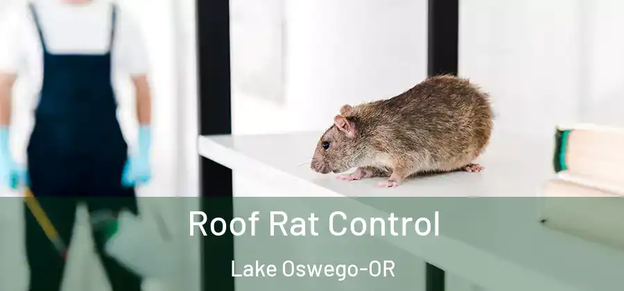 Roof Rat Control Lake Oswego-OR