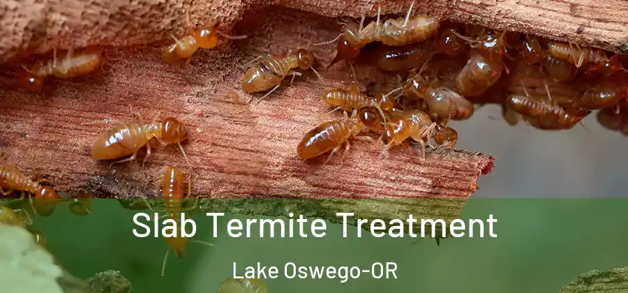 Slab Termite Treatment Lake Oswego-OR
