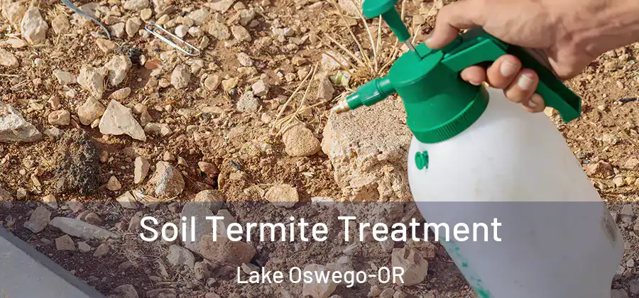  Soil Termite Treatment Lake Oswego-OR