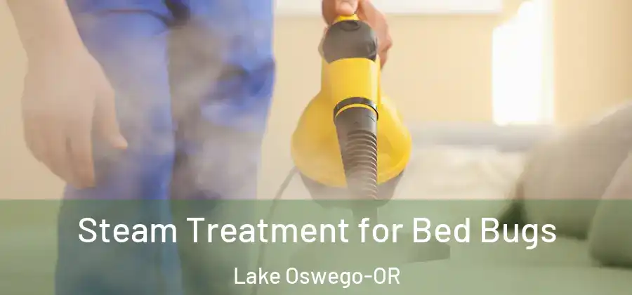 Steam Treatment for Bed Bugs Lake Oswego-OR