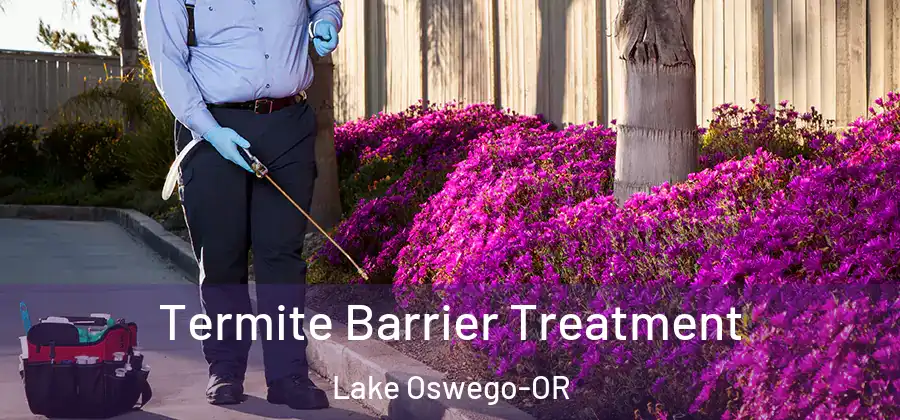 Termite Barrier Treatment Lake Oswego-OR