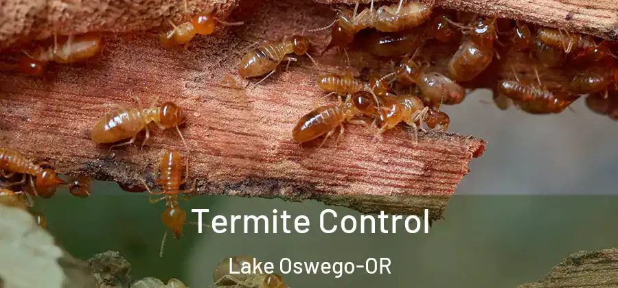 Termite Control Lake Oswego-OR