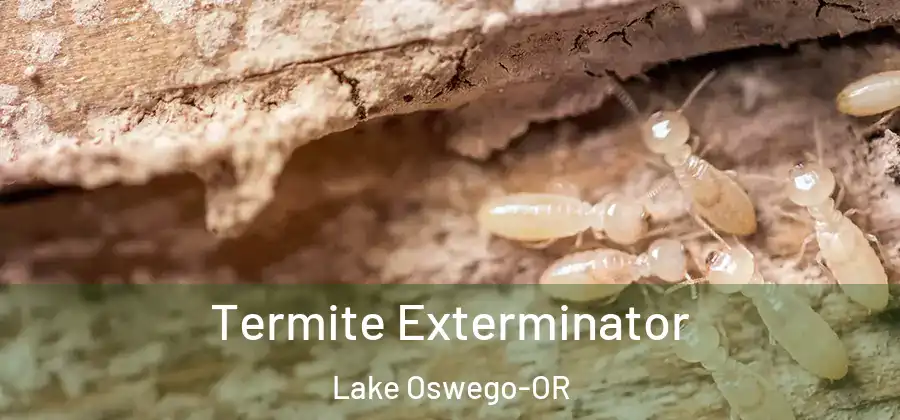 Termite Exterminator Lake Oswego-OR