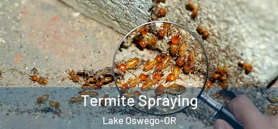 Termite Spraying Lake Oswego-OR