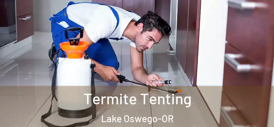  Termite Tenting Lake Oswego-OR