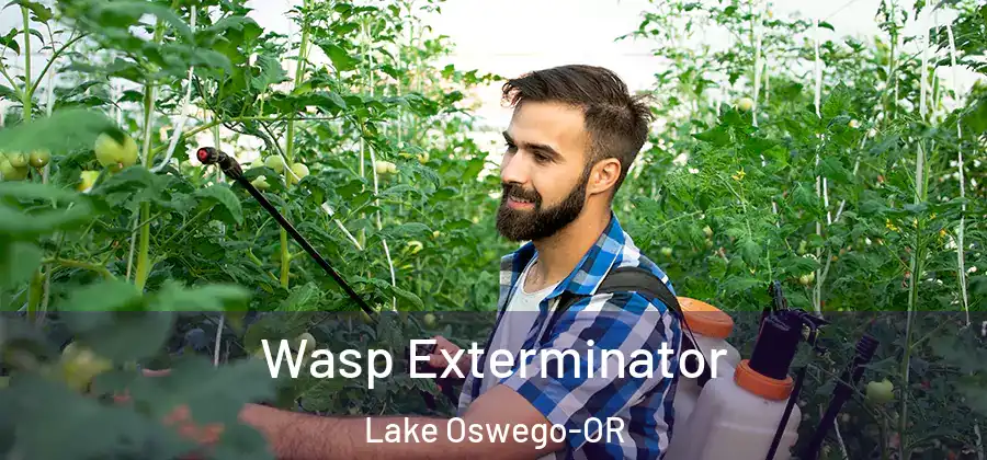 Wasp Exterminator Lake Oswego-OR