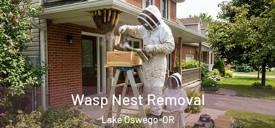  Wasp Nest Removal Lake Oswego-OR