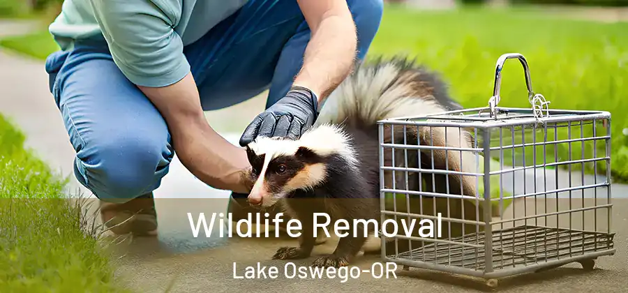 Wildlife Removal Lake Oswego-OR
