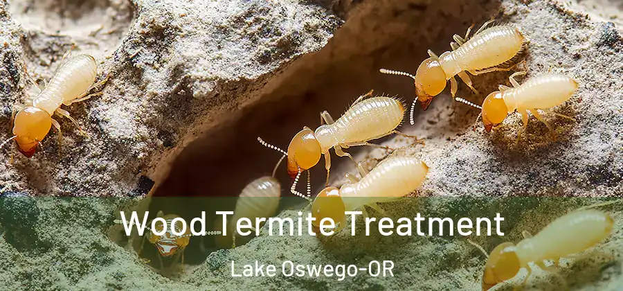 Wood Termite Treatment Lake Oswego-OR