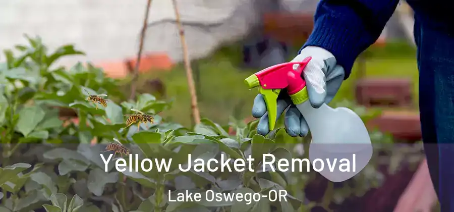 Yellow Jacket Removal Lake Oswego-OR
